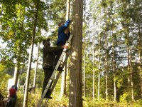 Nistkästen für Fledermäuse